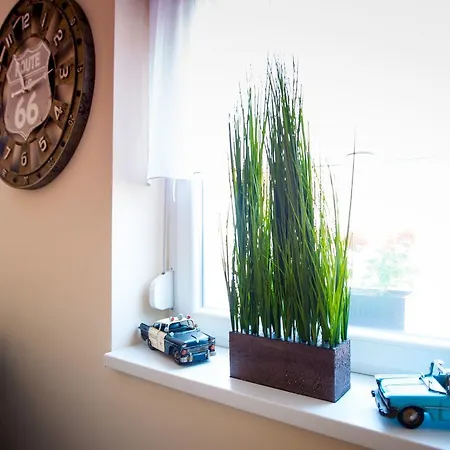 Bed & Breakfast Irany Colorado Nyíregyháza